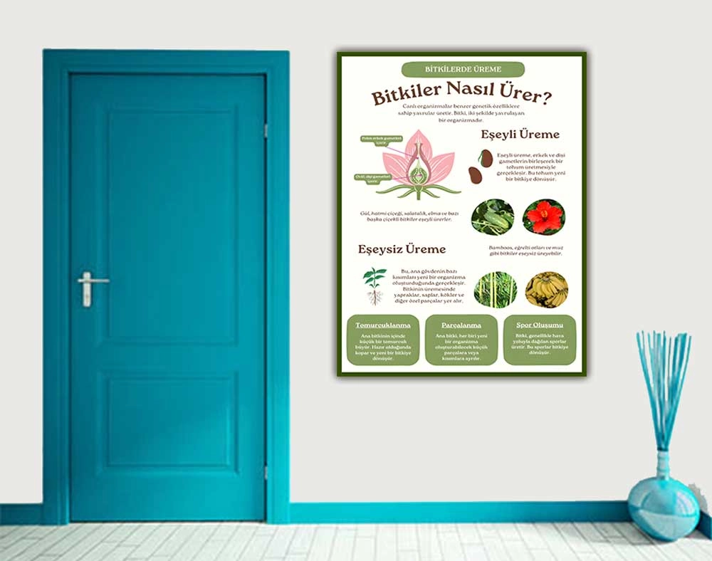 Bitkilerde Üreme Okul Posteri