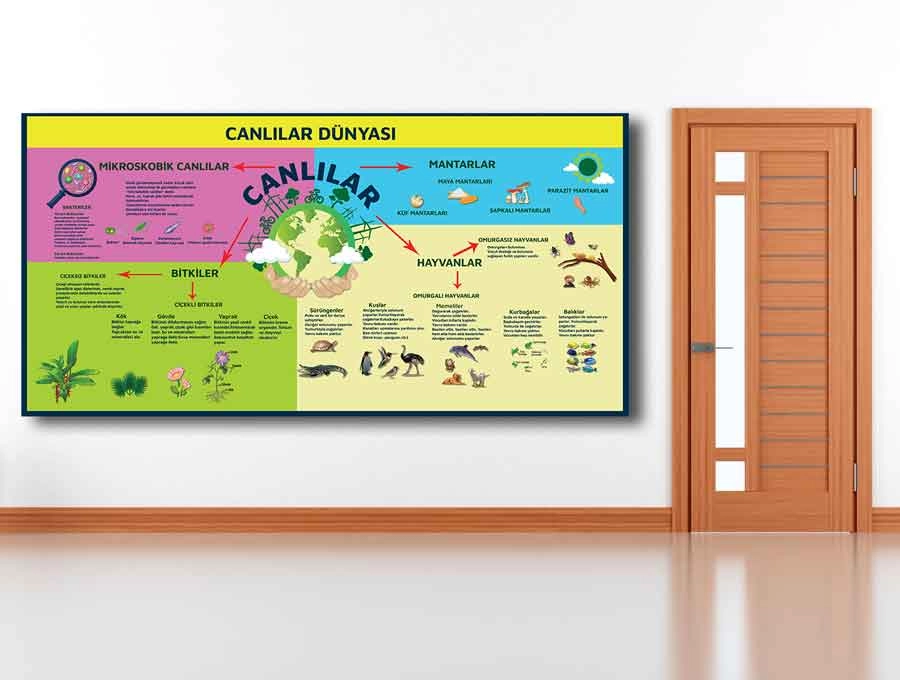 Canlılar Dünyası Okul Posteri