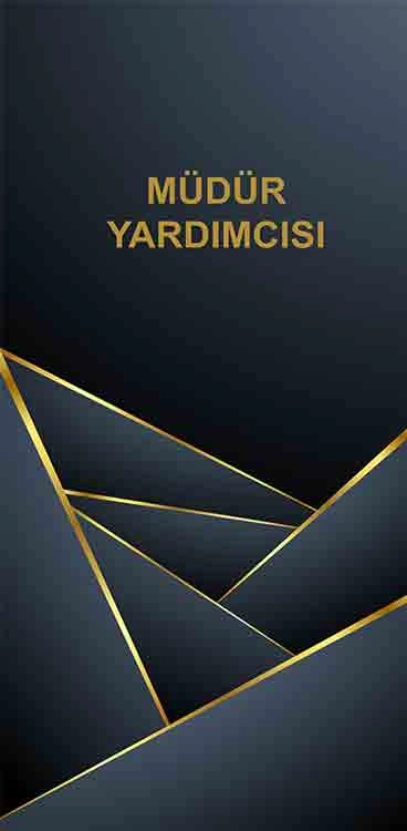 Okul Müdür Yardımcısı Odası Kapı Giydirme