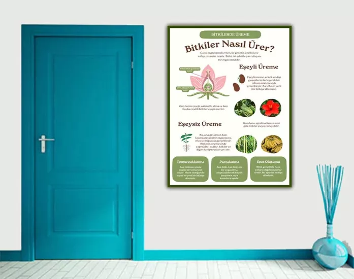 Bitkilerde Üreme Okul Posteri