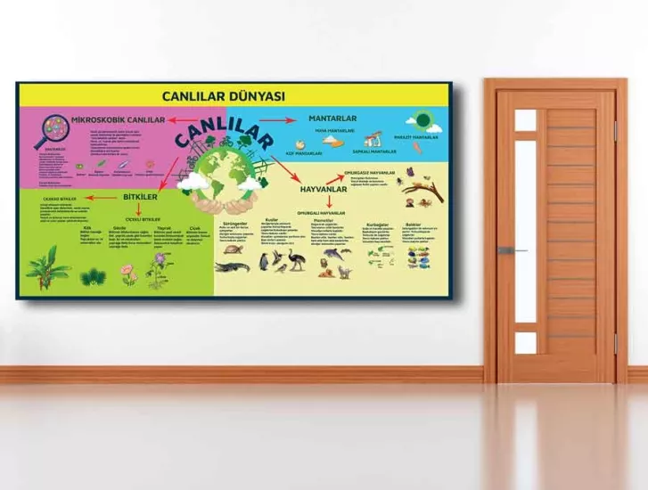 Canlılar Dünyası Okul Posteri