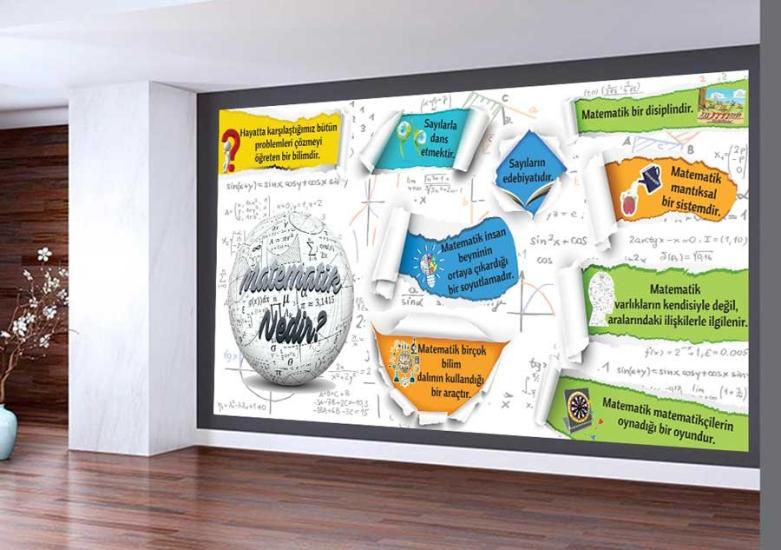 Matematik Nedir Okul Duvar Görseli