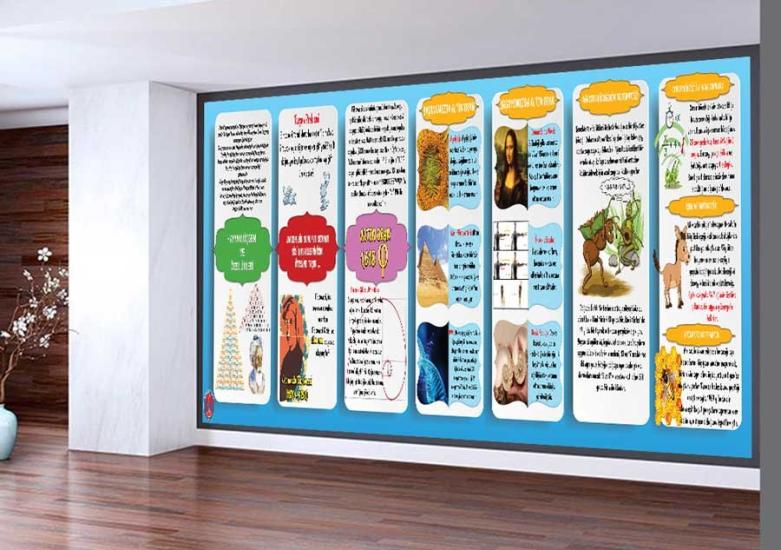 Doğadaki Matematik Okul Duvar Görseli