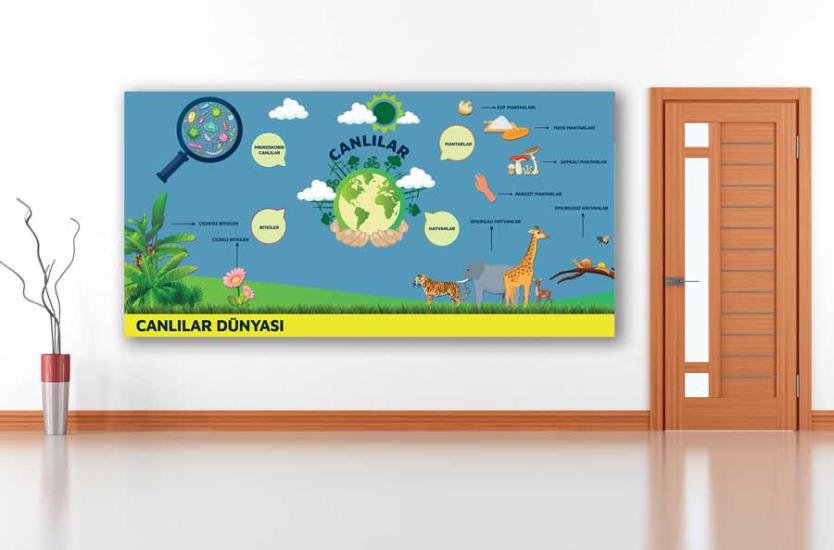 Canlılar Dünyası Okul Posteri