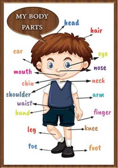 My Bady Parts Okul Posteri