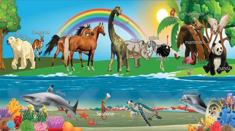 İngilizce Hayvanlar Okul Posteri