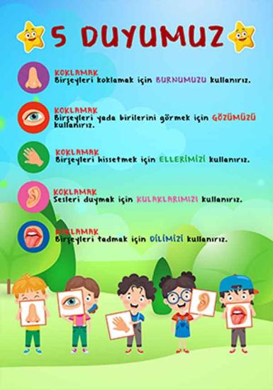 Beş Duyumuz Okul Posteri