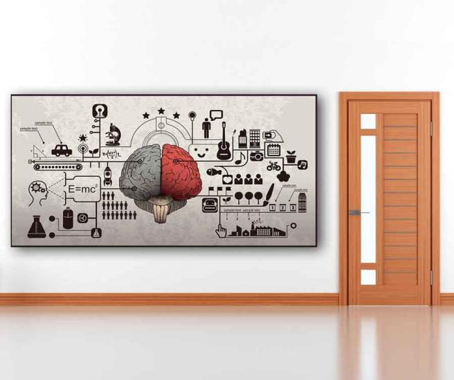 Beynimizin Bölümleri Okul Posteri