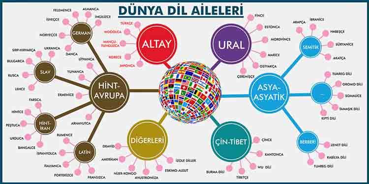 Dünya Dil Aileleri Okul Posteri