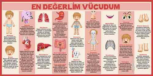 Atom Teorilerinin Tarihsel Gelişimi Okul Posteri