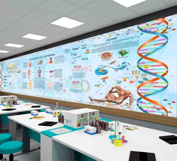 Fen Bilimleri Okul Posteri