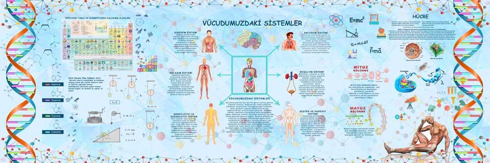 Fen Bilimleri Okul Posteri