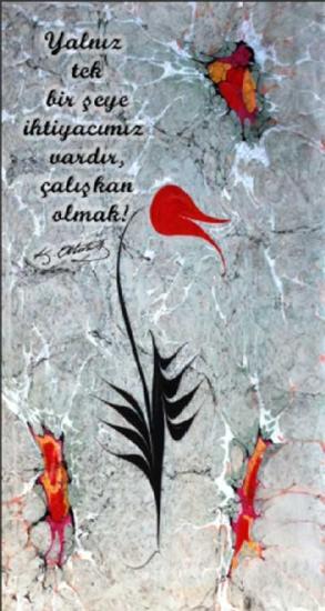 Çalışkan Olmak Ebru Sanatı Kapı Giydirme