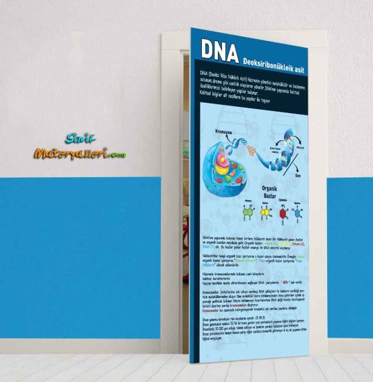 DNA Okul Kapı Giydirme