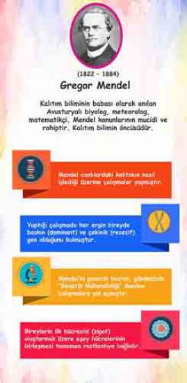 Bilim İnsanları Gregor Mendel Kapı Giydirme