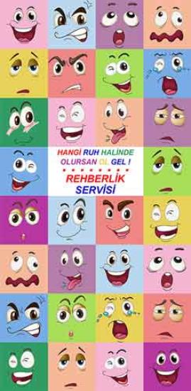 Rehberlik Servisi Kapı Giydirme