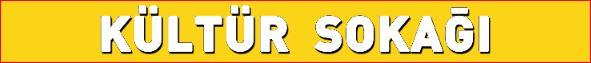 Kültür Sokağı Kolon Kiriş Yazısı