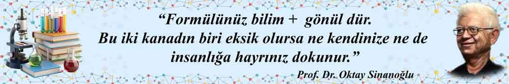 Oktay Sinanoğlu Kiriş Yazısı