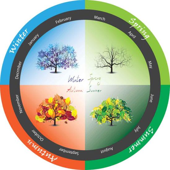 Seasonal Strip Zemin Uygulaması