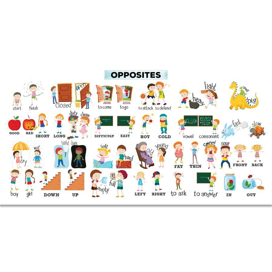 İngilizce Zıtlıklar Duvar Görseli