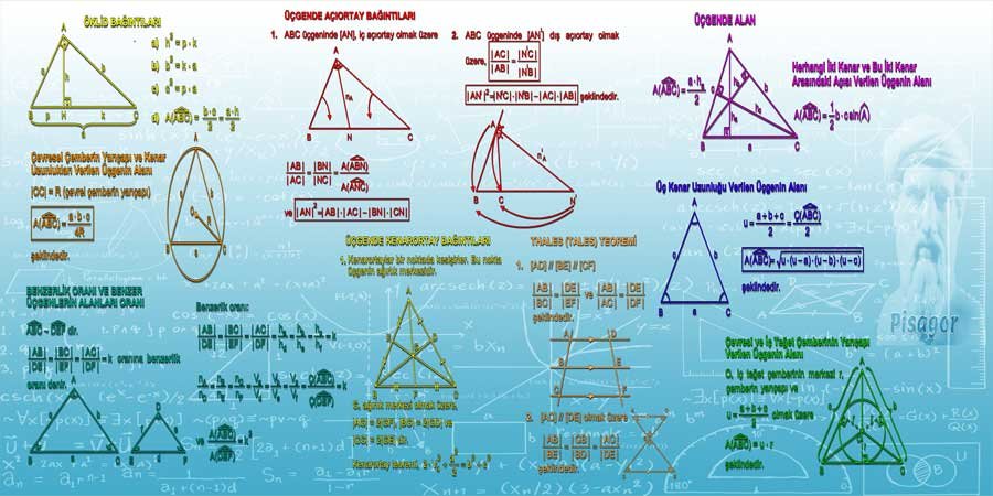 Matematik Geometri Okul Duvar Görseli