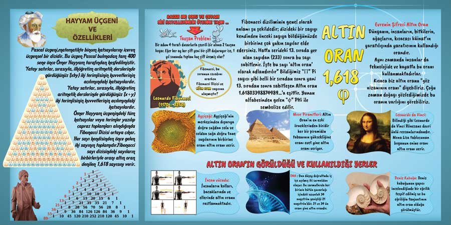 Altın Oran Ve Hayyam Üçgeni Okul Duvar Görseli