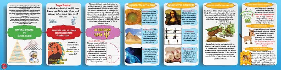 Doğadaki Matematik Okul Duvar Görseli