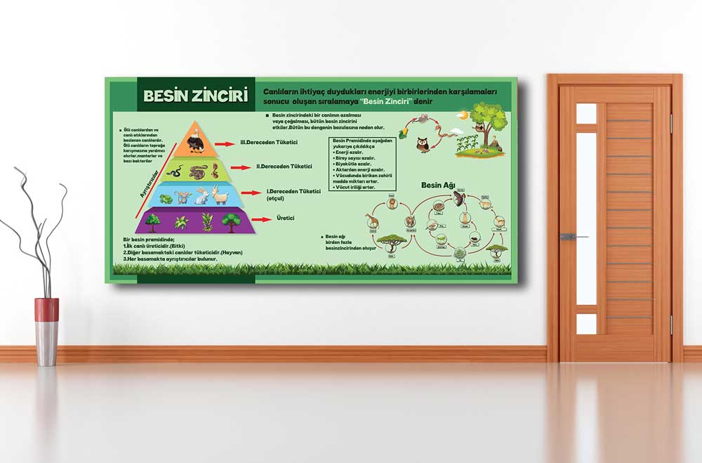 Besin Zinciri Okul Posteri