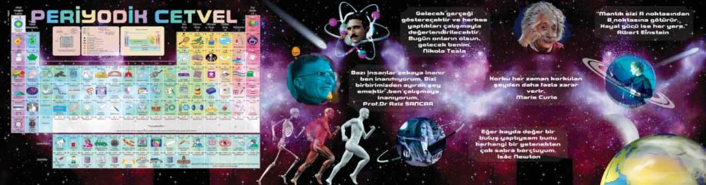 Fen Bilimleri Koridoru Periyodik Cetvel Ve Bilim İnsanları Okul Posteri