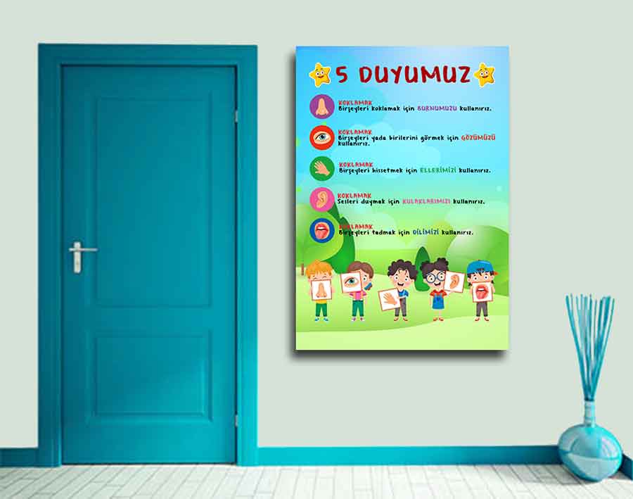 Beş Duyumuz Okul Posteri
