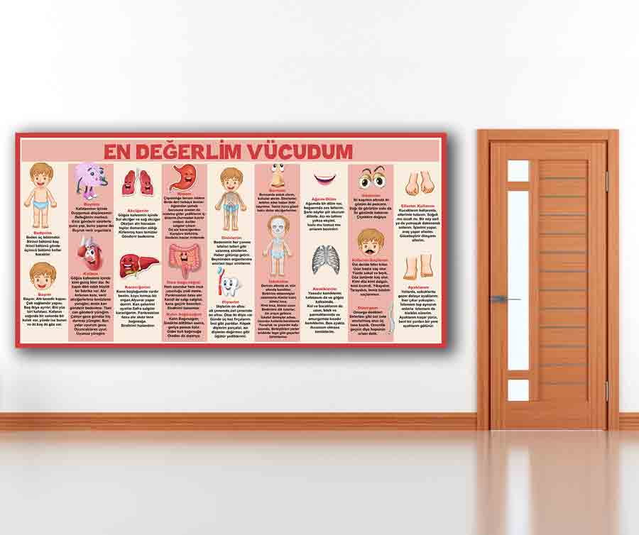 En Değerlim Vücudum Okul Posteri