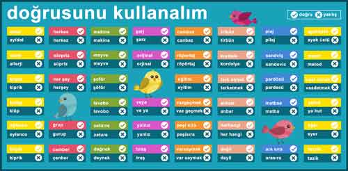 Doğrusunu Kullanalım Okul Posteri