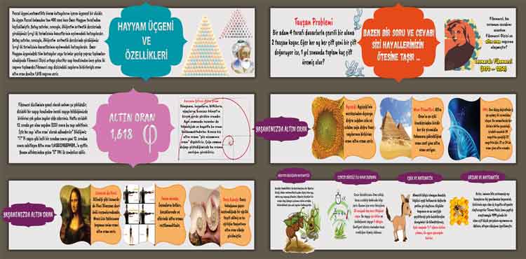 Doğadaki Matematik Okul Duvar Görseli-2