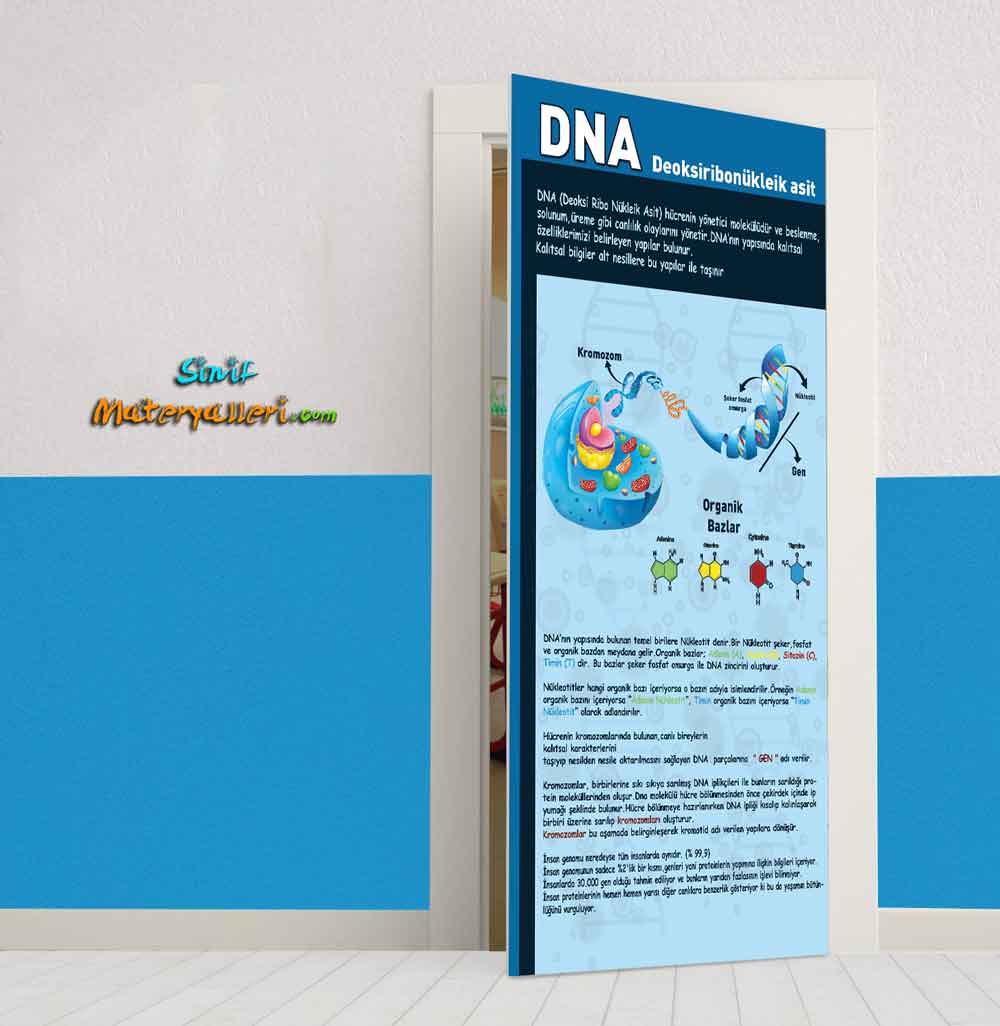 DNA Okul Kapı Giydirme