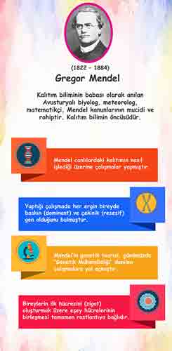 Bilim İnsanları Gregor Mendel Kapı Giydirme