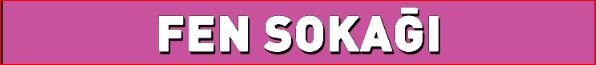Fen Sokağı Kolon Kiriş Yazısı