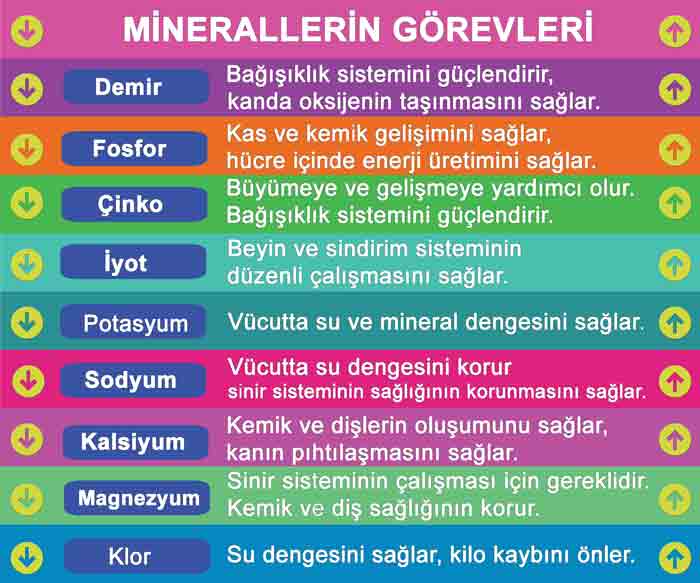 Minerallerin Görevleri Merdiven Yazıları