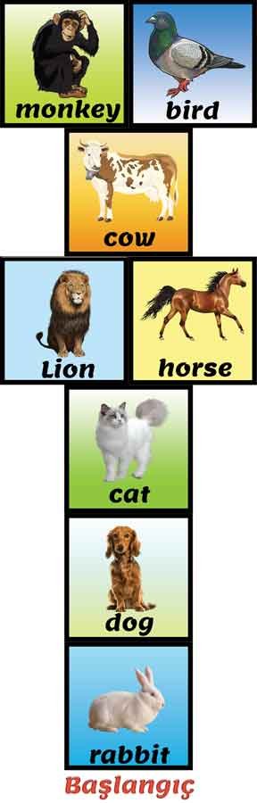 Sek sek Oyunu İngilizce Hayvanlar