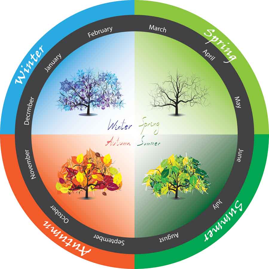 Seasonal Strip Zemin Uygulaması